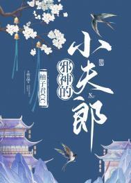 邪神的小夫郎TXT