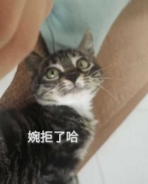委婉拒绝你