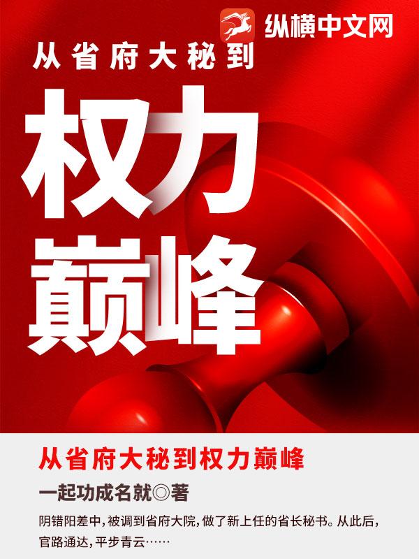 从省府大秘到权力巅峰陈墨