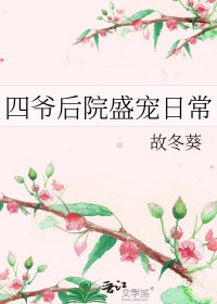 四爷后院盛宠日常笔趣阁