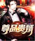 全才神婿大结局是什么