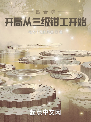 四合院开局从三级钳工开始电力十足