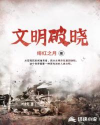 文明破晓完结版TXT全本
