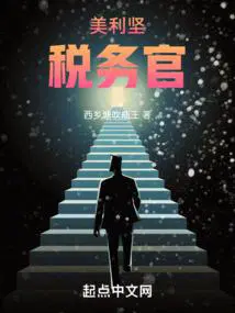 美利坚税务官txt电子书