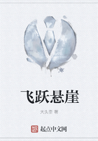 飞跃悬崖演员表