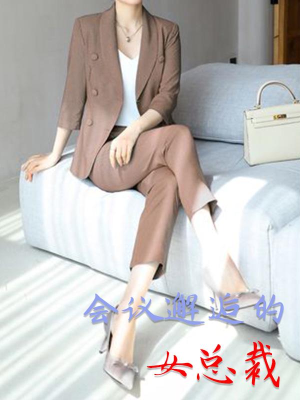 会议邂逅的女总裁免费阅读