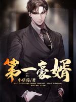 第一豪婿陈平安