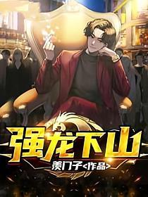 强龙下山叶无念免费