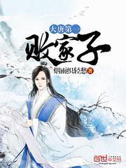 大唐第一败家子在线阅读