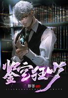 鉴宝狂少TXT电子书