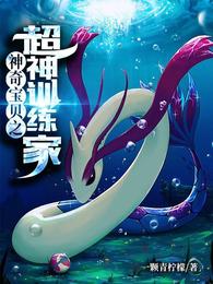 神奇宝贝之超神训练家大结局