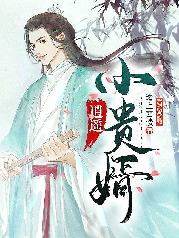 逍遥小贵婿皇上是什么身份