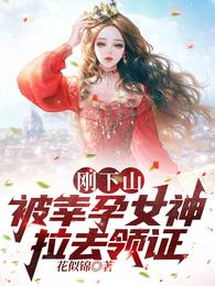 被幸孕女神拉去领证免费完整版