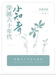穿越六十年代小知青免费版