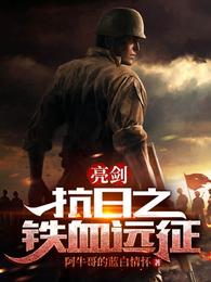 亮剑抗日之铁血远征阿丽雅