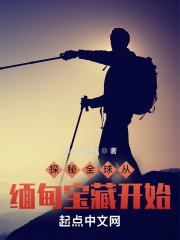探秘全球从缅甸宝藏开始哪里看