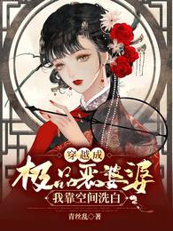 我穿越成了极品婆婆