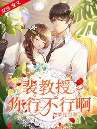 裴教授的小哭包甜又软 作者宋一沁