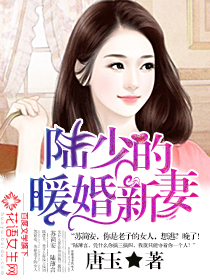 陆少的暖婚新妻最后结局怎样