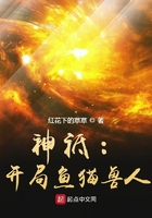 神祗开局鱼猫兽人游戏