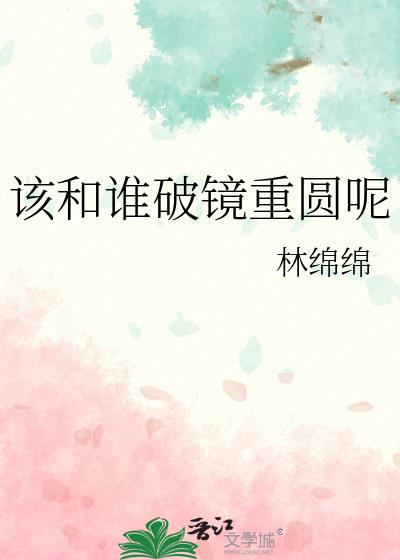 该和谁破镜重圆呢书评