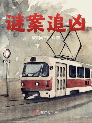 谜案追凶美剧