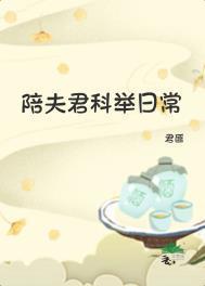 陪夫君科举日常txt百度免费