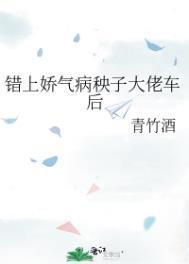 错上娇气病秧子大佬车后青竹酒