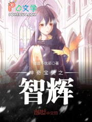 神奇宝贝之智辉 聚合中文网