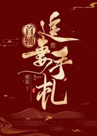 首辅追妻手札轻松