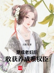 穿成老夫人的文