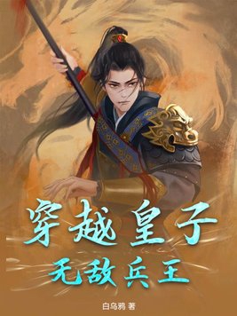 穿越皇子无敌兵王免费阅读全文