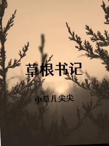 草根书记李天冀陈诗琪