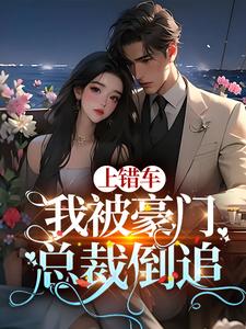 我的司机老公竟然是豪门大佬gl