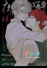 夜风沉醉演员表及角色介绍