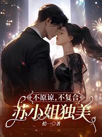 不原谅不复合苏小姐独美在线阅读