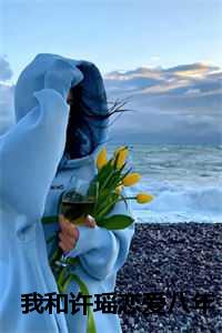 我和许瑶恋爱八年第8集