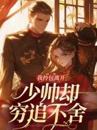 我拎包离开少帅却穷追不舍魏良辰许锦夜免费阅读