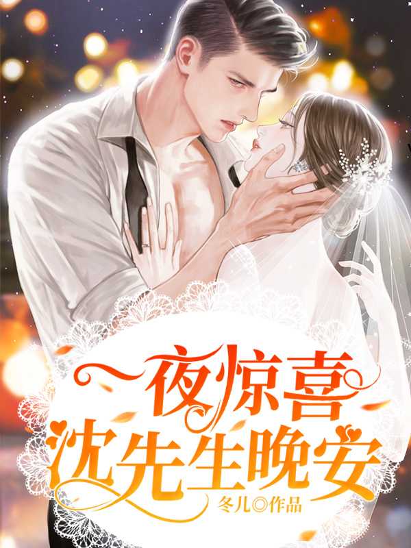 一夜惊喜沈先生晚安免费听书