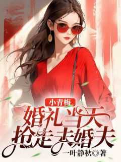 小青梅免费阅读全文