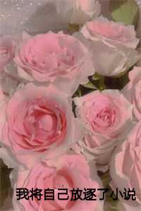 我将自己放逐了小灯第二十章