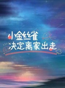 小金丝雀怎么养