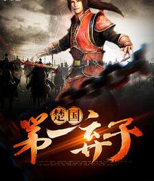 楚家弃子坠崖