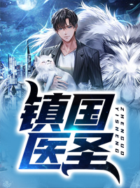 镇国医圣免费阅读