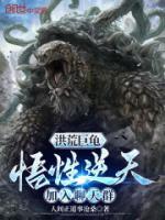 主角是柳菲菲的