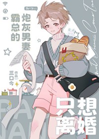 霸总的炮灰男妻只想离婚 三口今