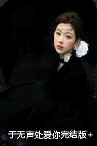 于无声处第4集