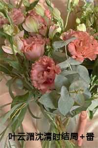 女主叫沈清云的