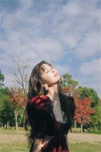 官婿美人香免费阅读最新章节更新列表
