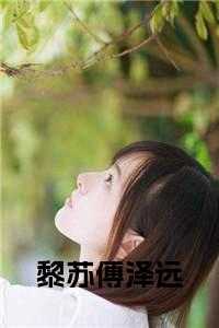 黎苏傅泽远怀孕结局